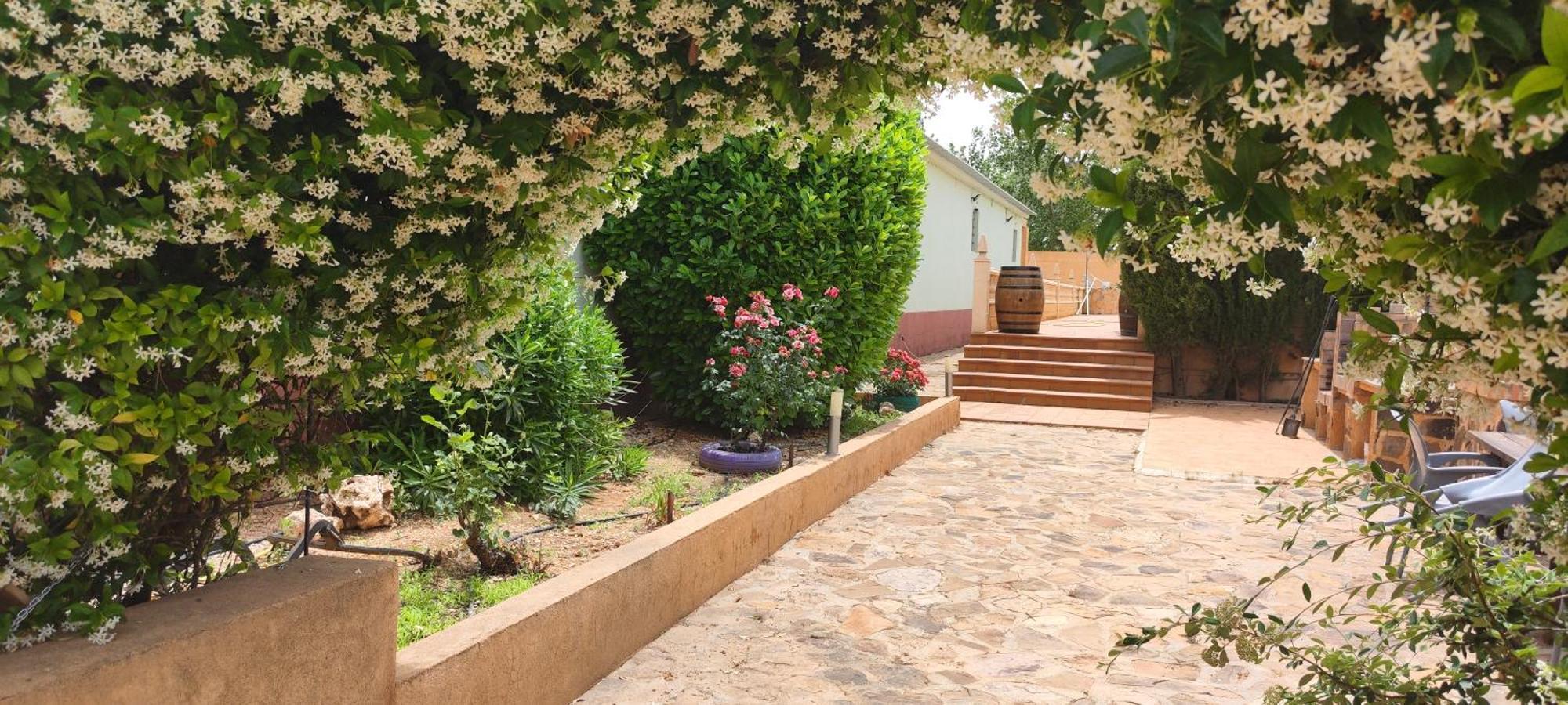 Casa Rural El Tejar San Clemente  Eksteriør bilde