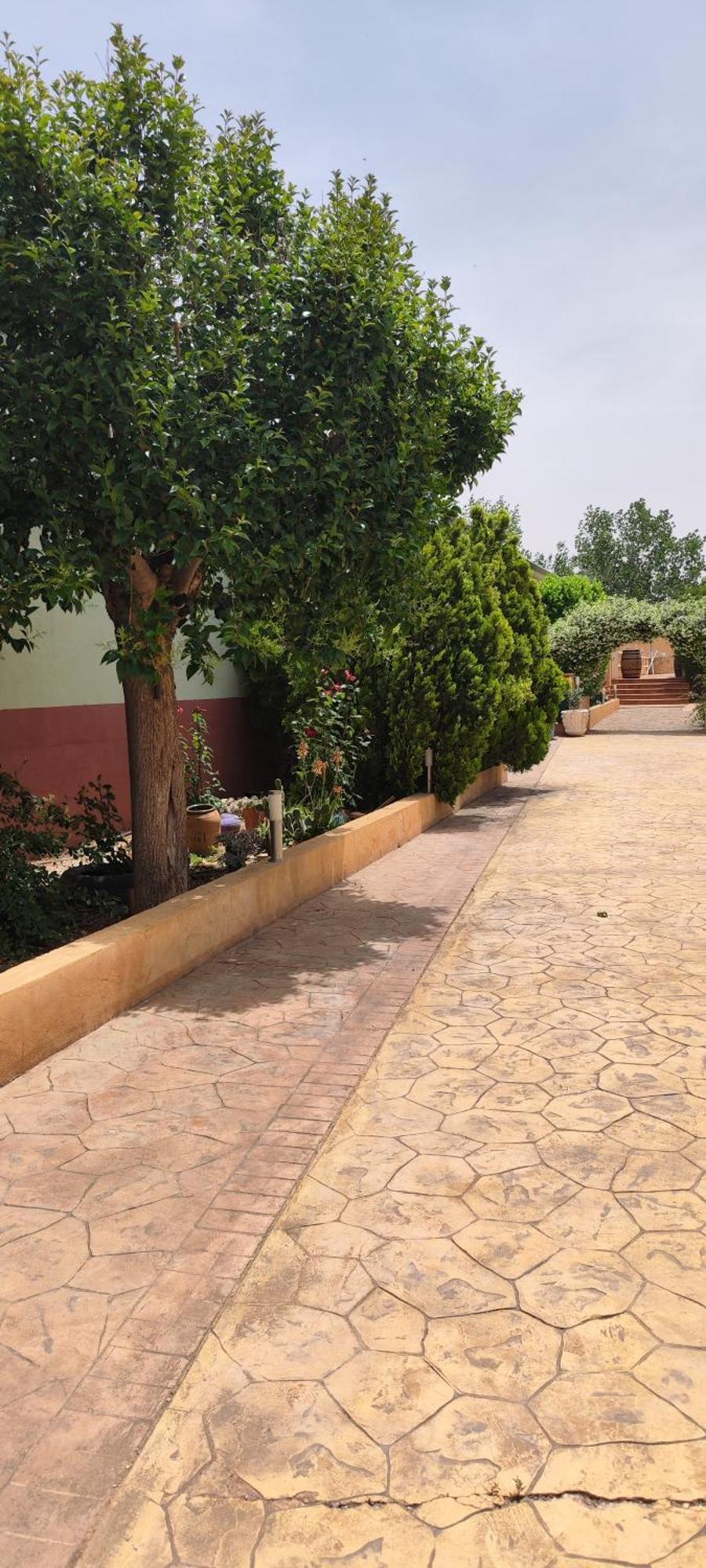 Casa Rural El Tejar San Clemente  Eksteriør bilde